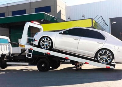 guincho-em-goiania - 2